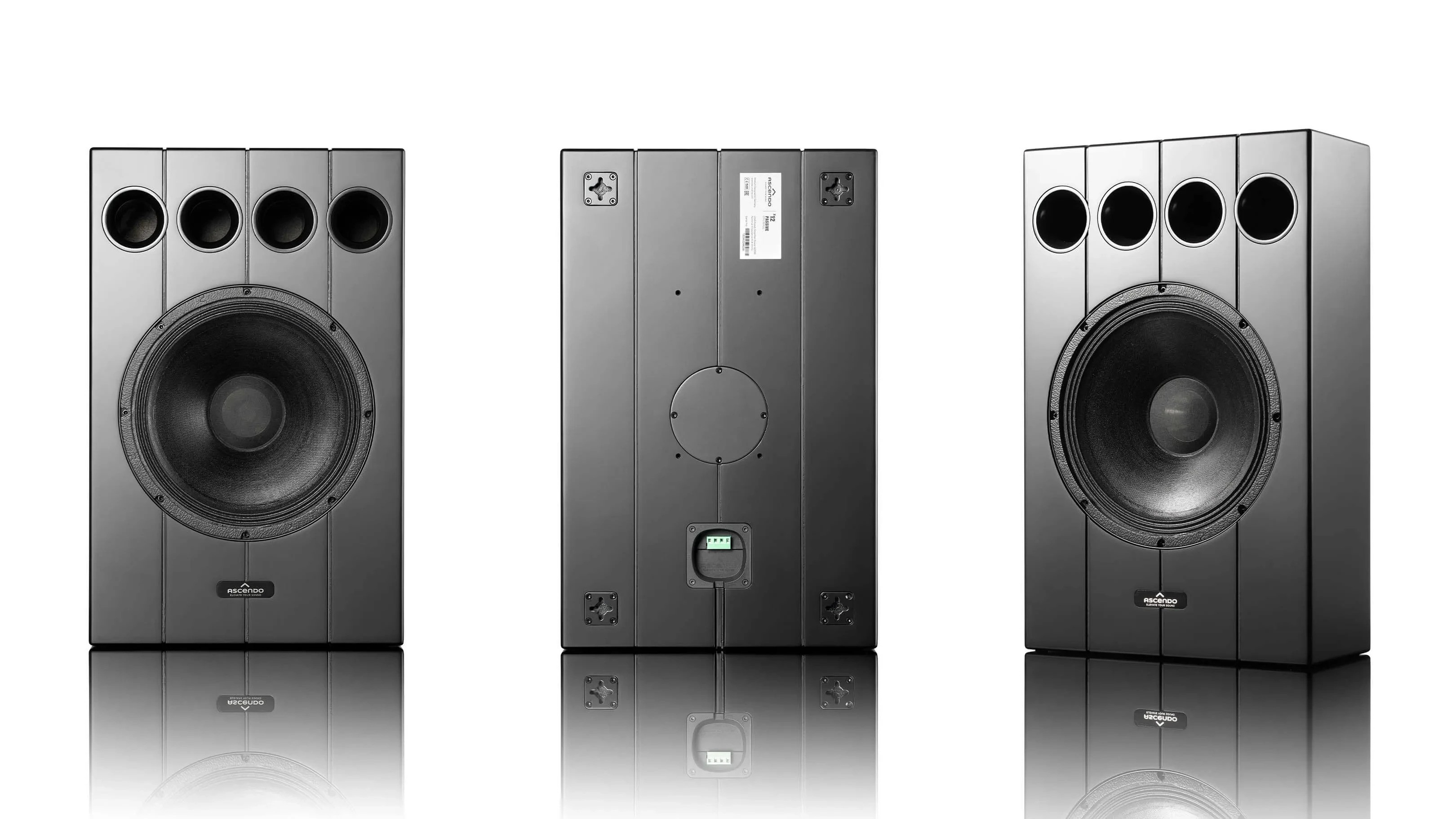 Gall-1 THE12_P_OW.jpg