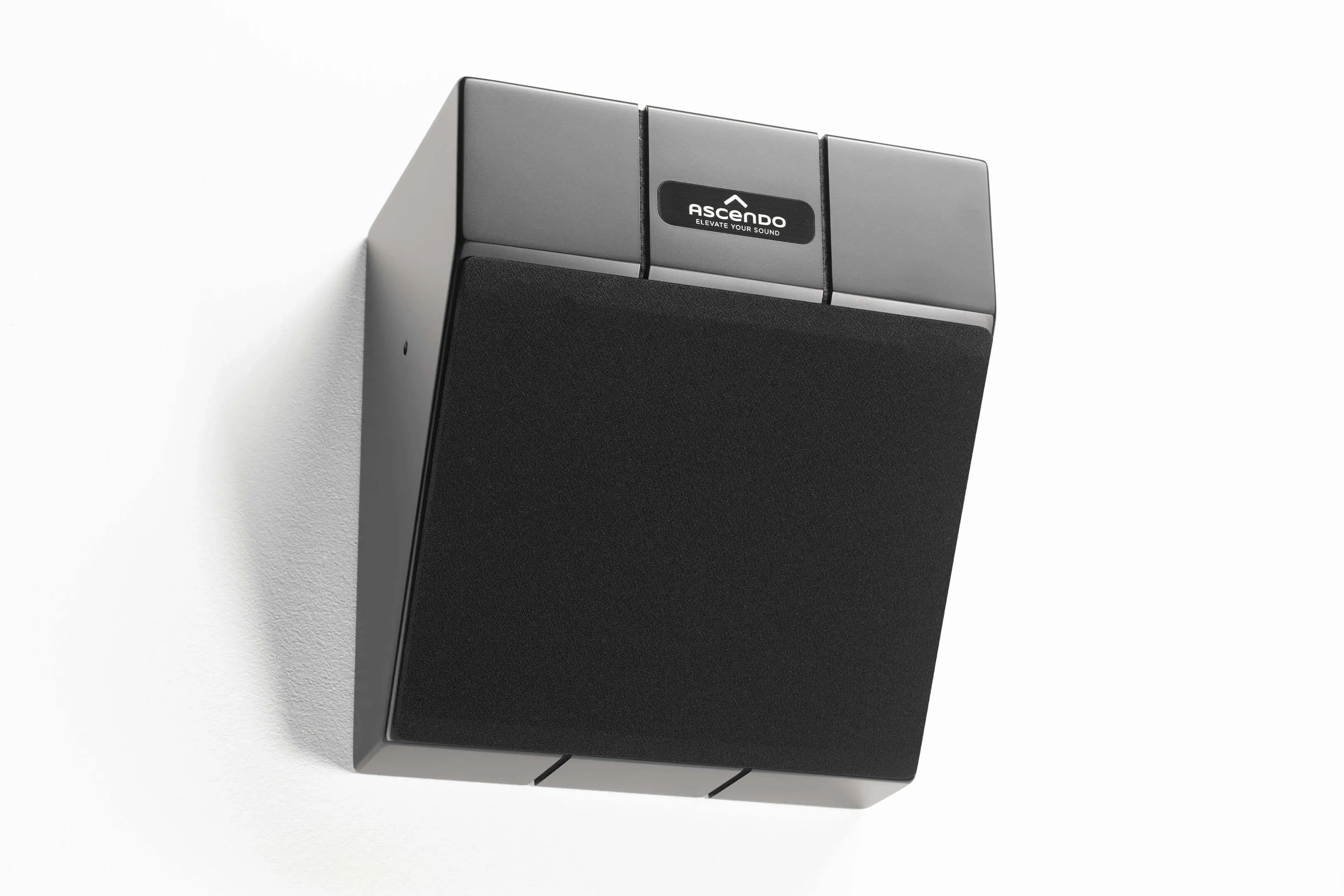 Gall-2 THE6_P_WE30.jpg