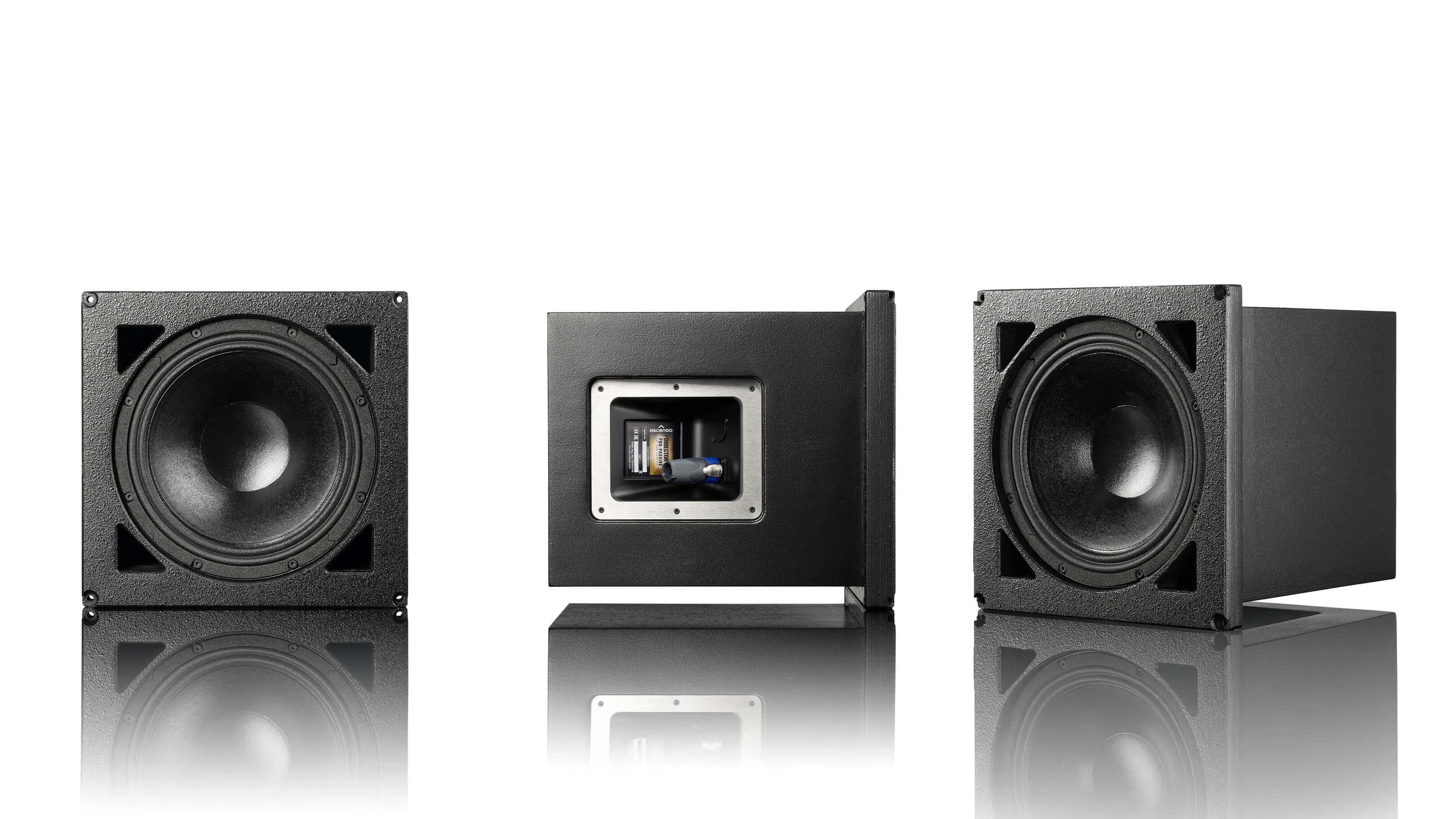 Gall-2 THE_DIRECTOR_PRO_AE_F.jpg