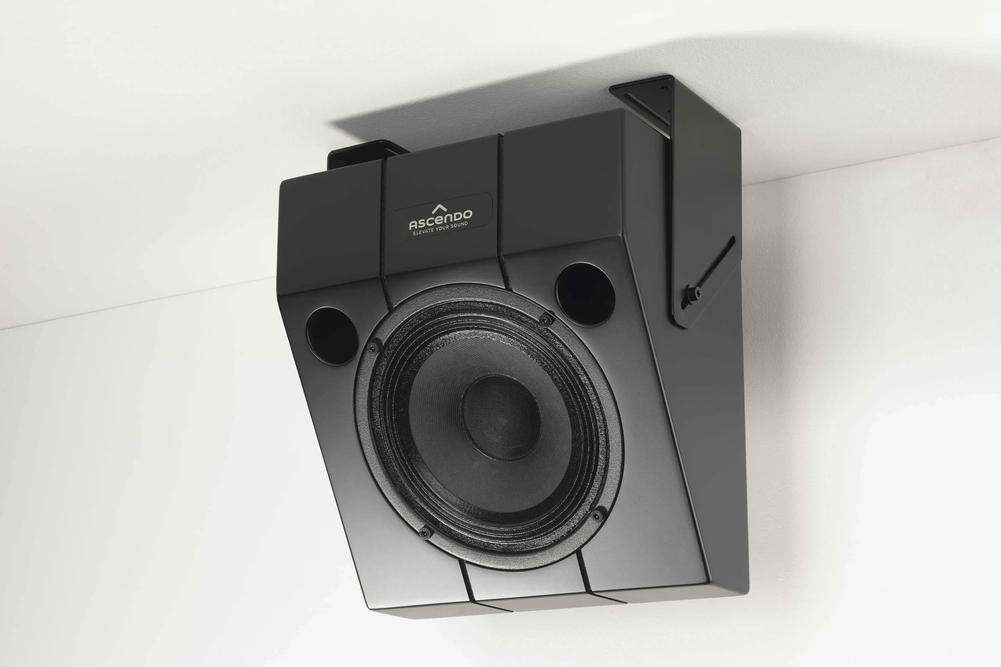 Gall-5 THE6_P_WE30.jpg