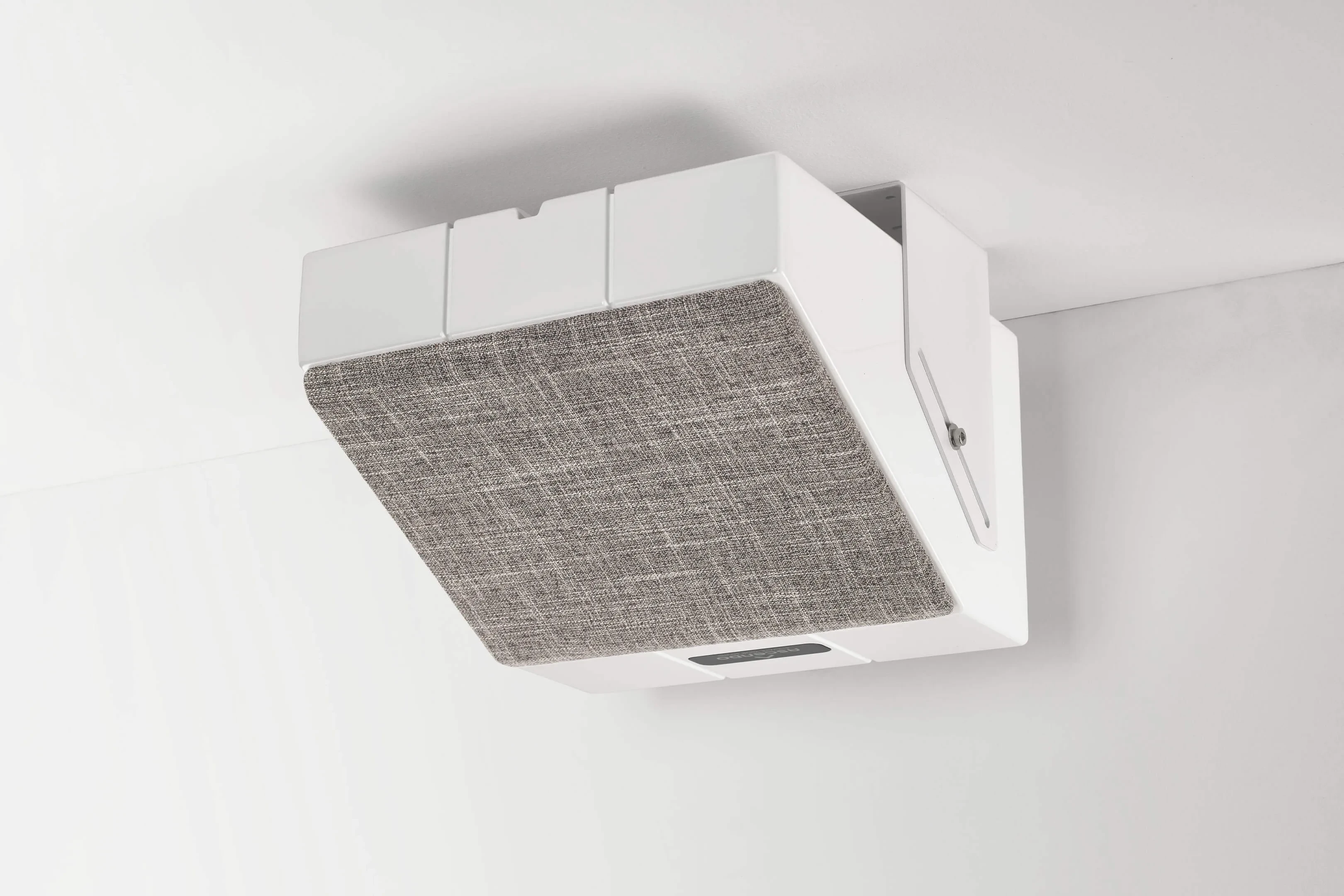 Gall-8 THE6_P_WE30.jpg