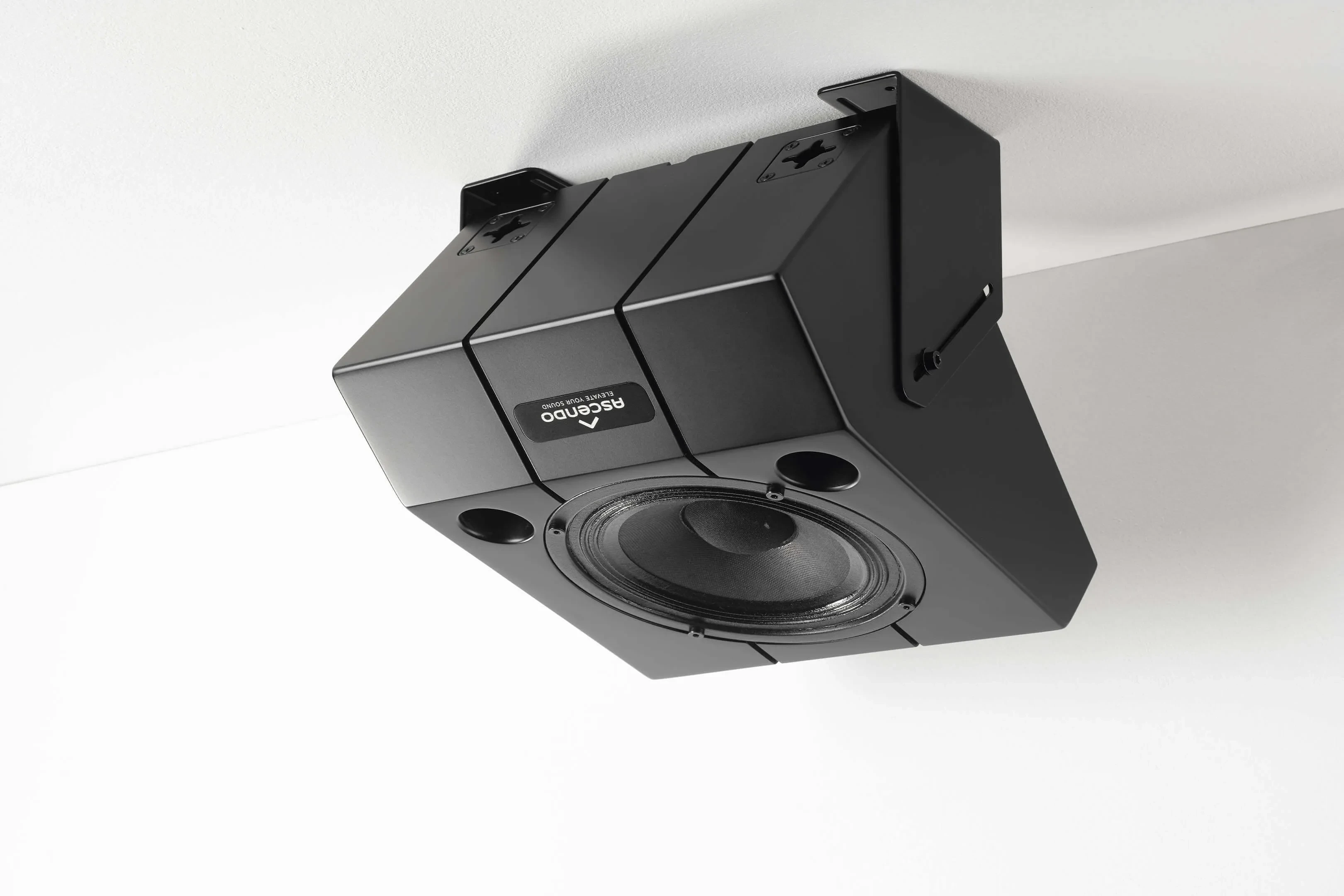 Gall-9 THE6_P_WE30.jpg