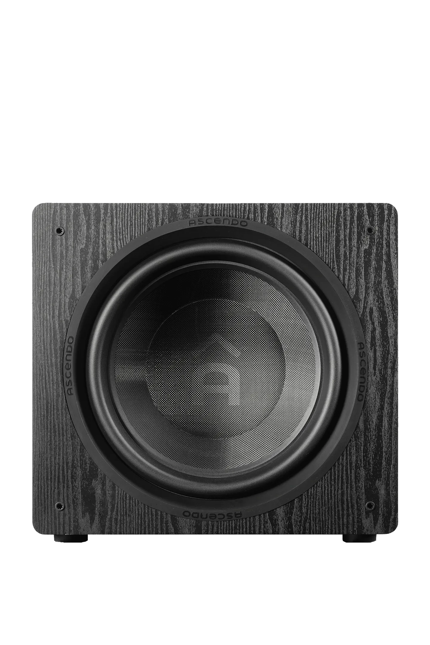 Photos-1 THE16_SUB_AS.png