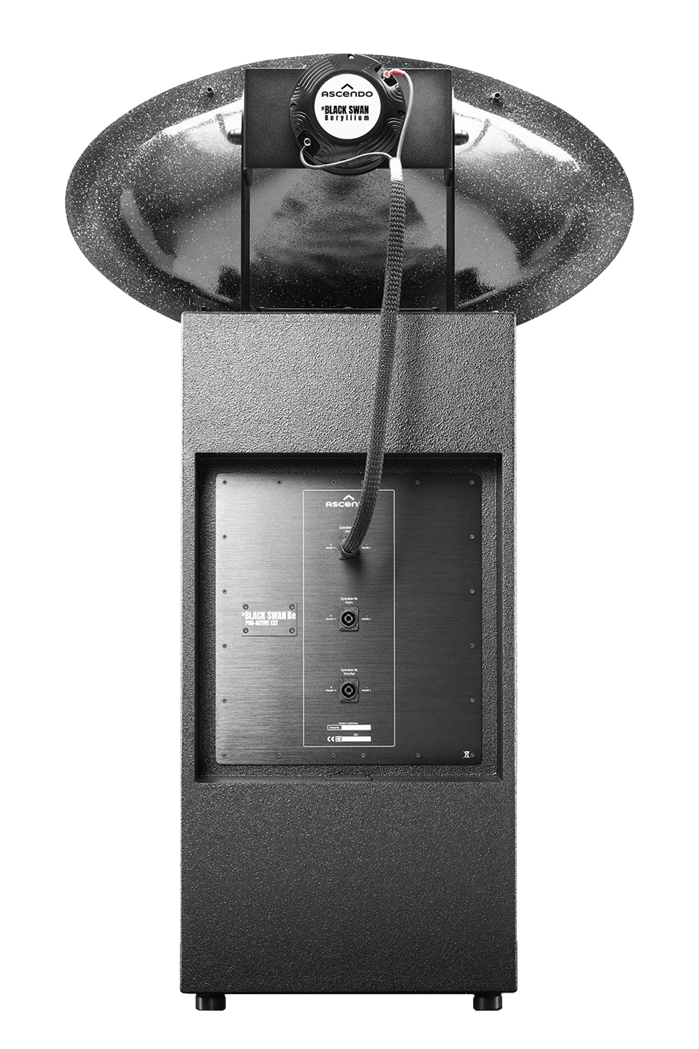 Photos-2 THE_BLACK_SWAN_PRO_AE.png