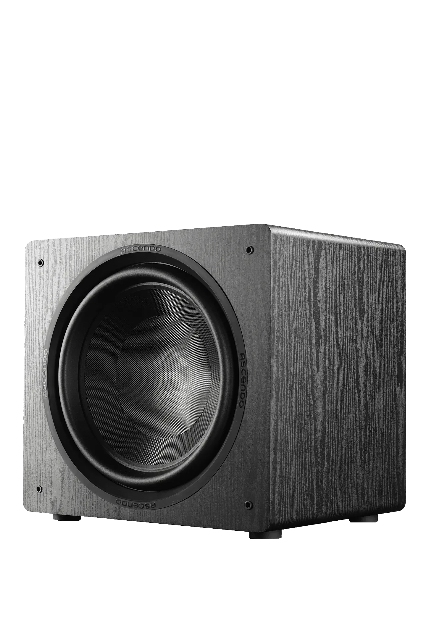 Photos-3 THE16_SUB_AS.png