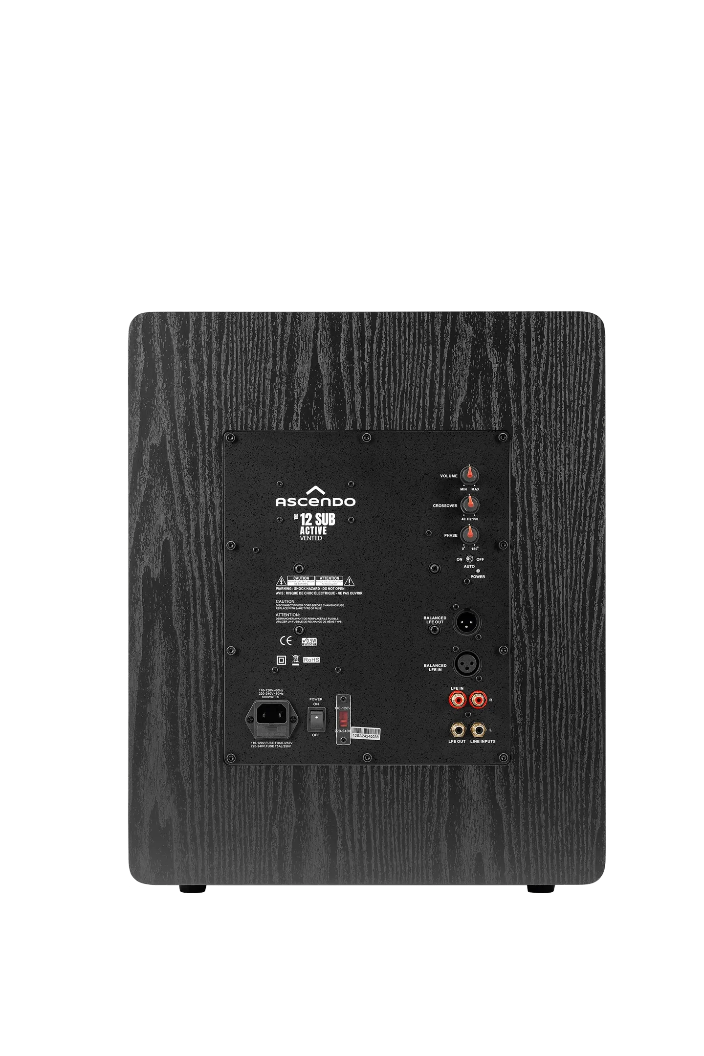 Photos-2 THE12_SUB_PRO_AV.png