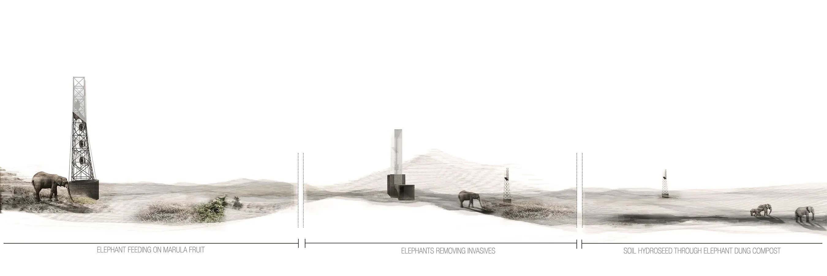 TTE Year 1 (photo credit Marc Sherratt, Sustainability Architects).jpg