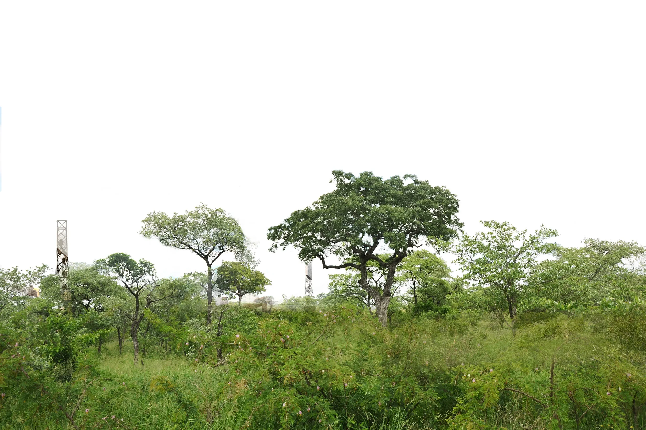 TTE Year 10 (photo credit Marc Sherratt, Sustainability Architects).jpg