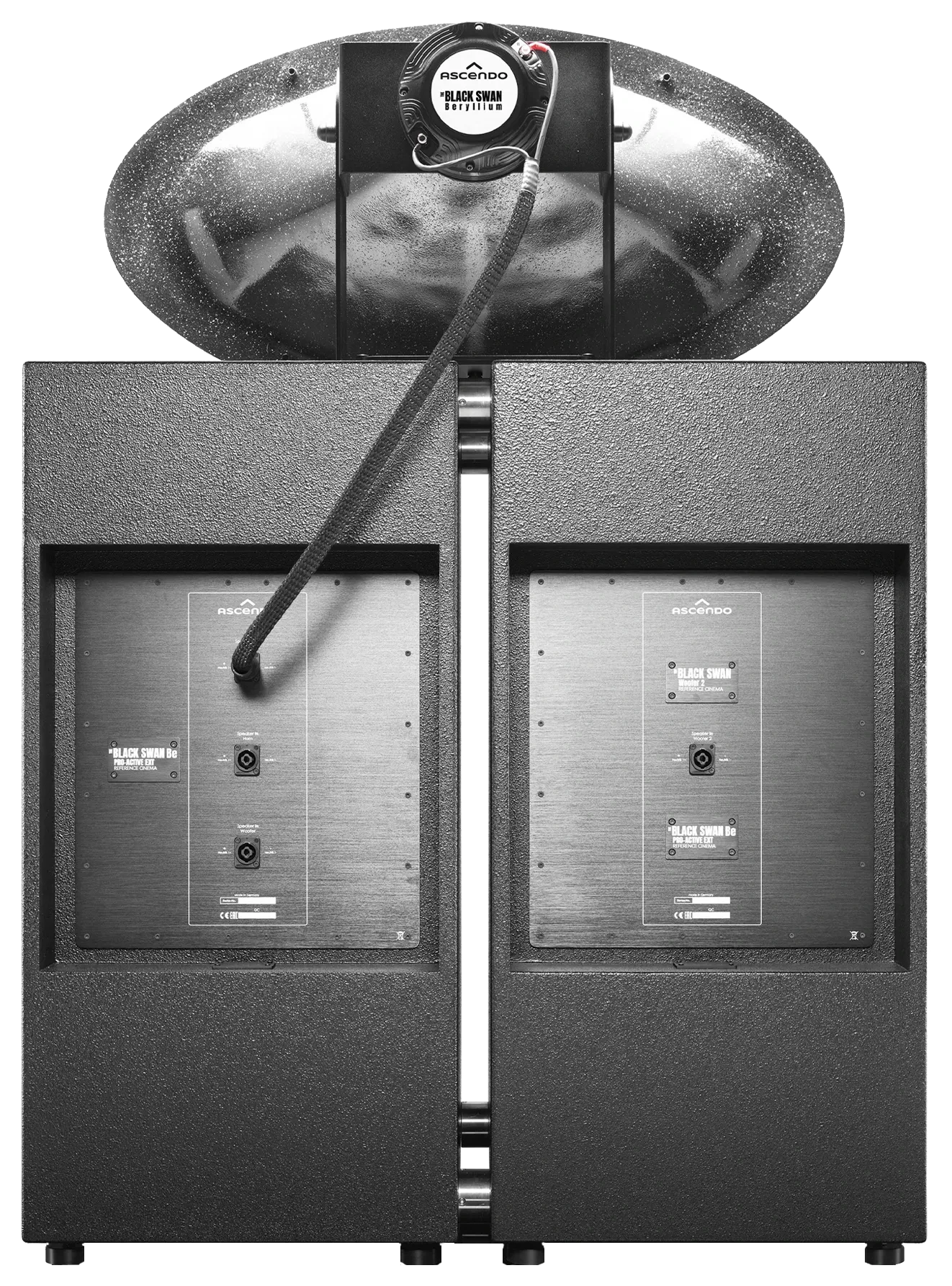 Photos-2 THE_BLACK_SWAN_BE_PRO_AE_RC.png